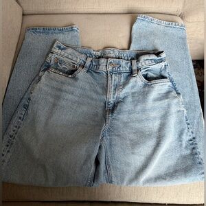 American Eagle Outfitters Barrel Jeans